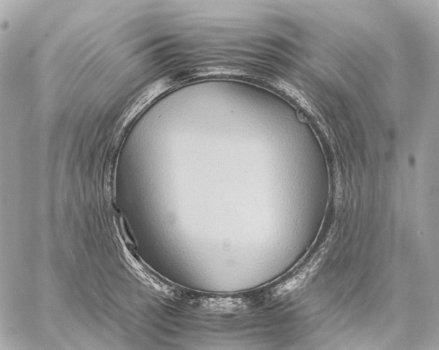 X0000059251137200511041327