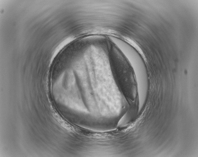 X0000059251138200511041327