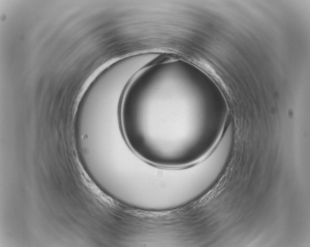 X0000059251140200511041327