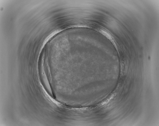 X0000059251141200511041327