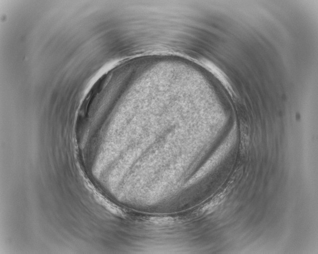 X0000059251142200511041327