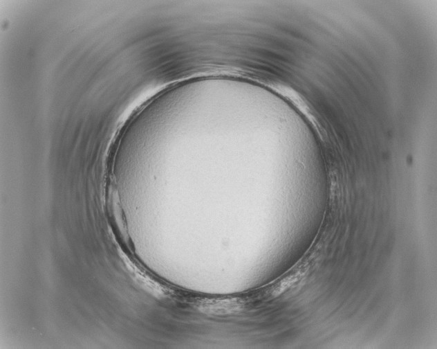 X0000059251143200511041327