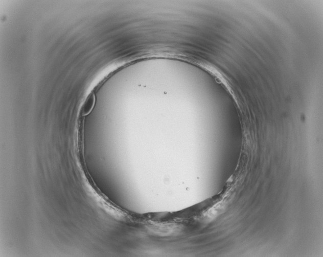 X0000059251147200511041327