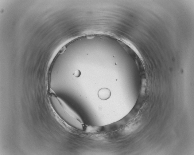 X0000059251148200511041327