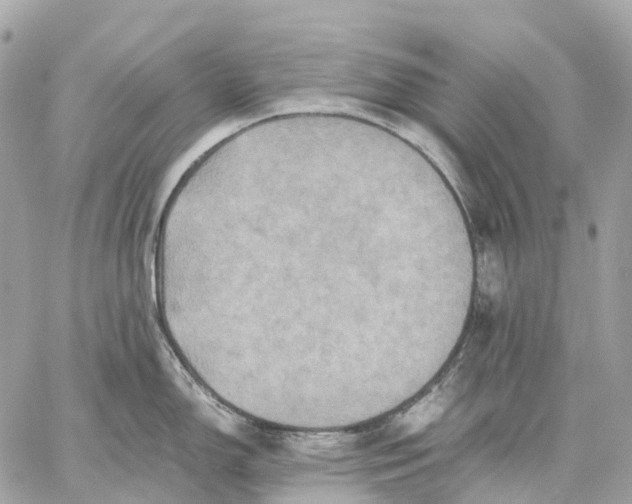 X0000059251150200511041327