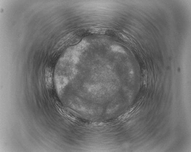 X0000059251154200511041326