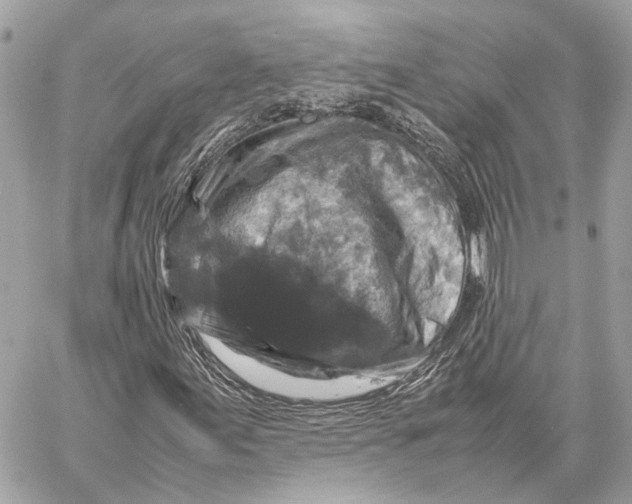 X0000059251155200511041326