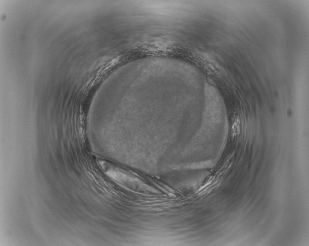 X0000059251156200511041326