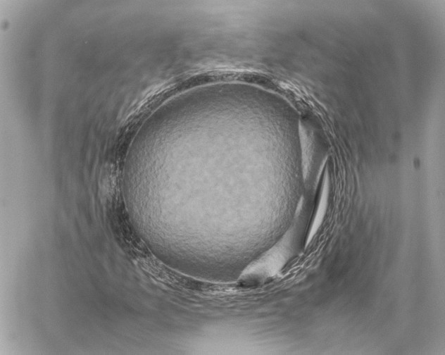 X0000059251157200511041326