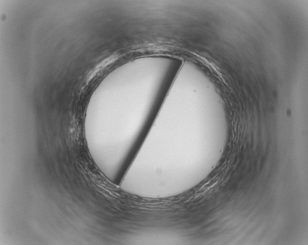 X0000059251160200511041326