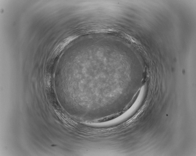 X0000059251161200511041326