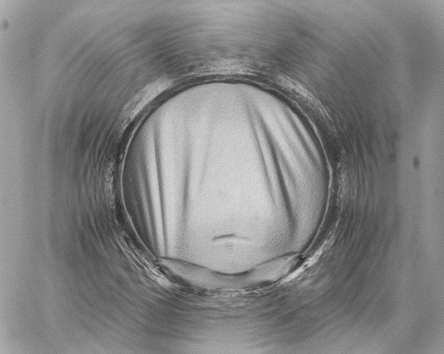 X0000059251162200511041326