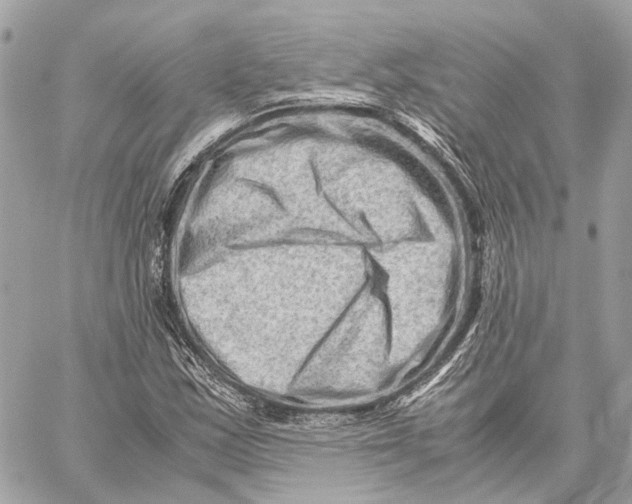 X0000059251163200511041326