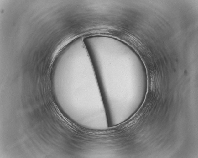 X0000059251164200511041326