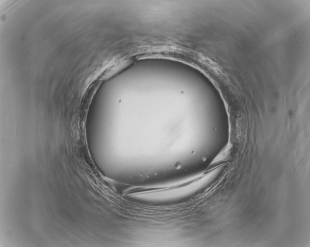 X0000059251165200511041326