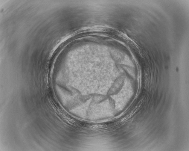 X0000059251166200511041326