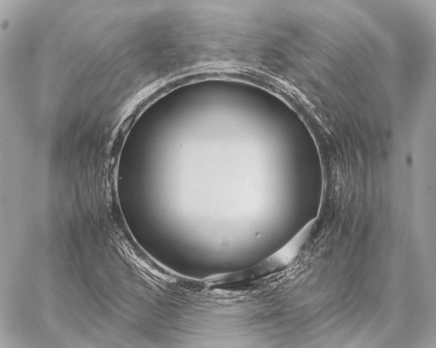 X0000059251168200511041326