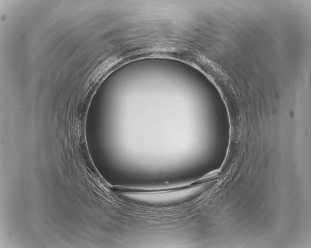 X0000059251169200511041326