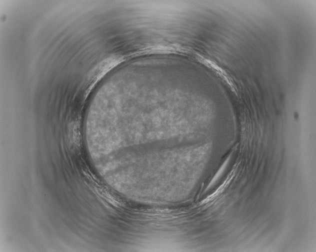 X0000059251170200511041326