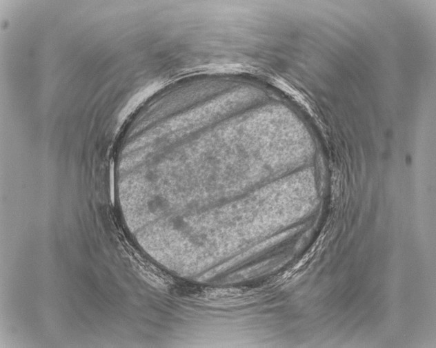 X0000059251171200511041326