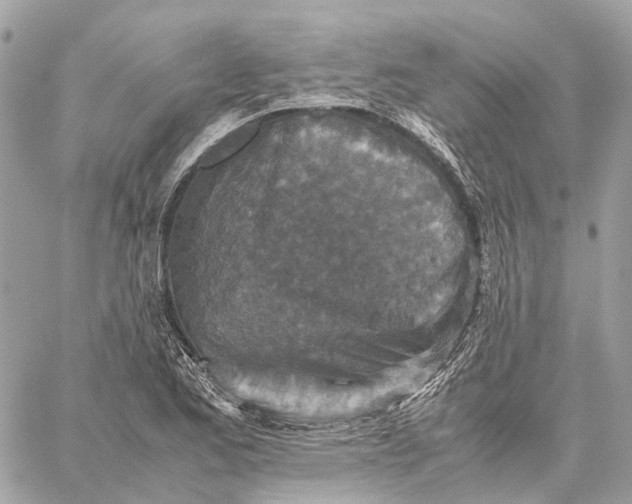 X0000059251173200511041326