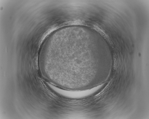 X0000059251174200511041326