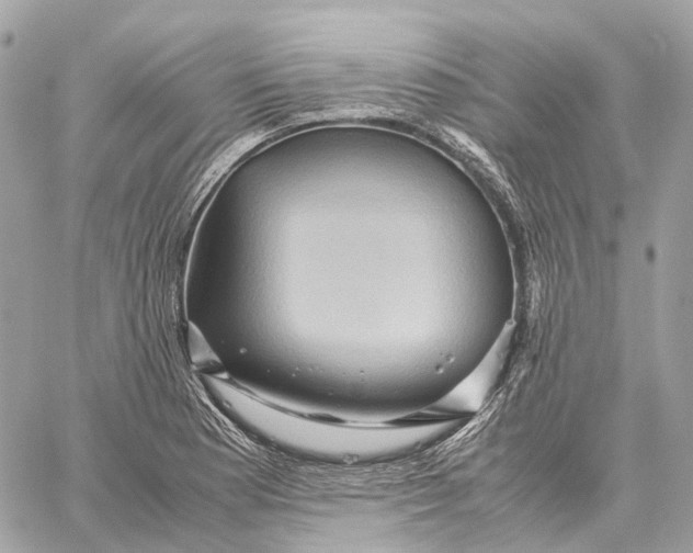 X0000059251177200511041326