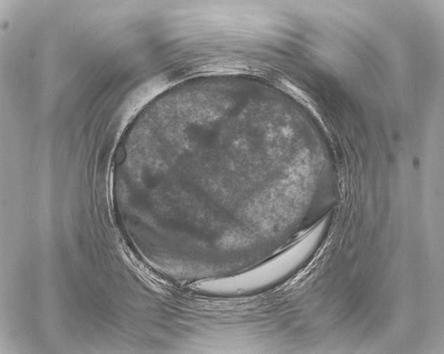 X0000059251179200511041326