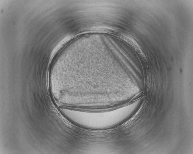 X0000059251180200511041326