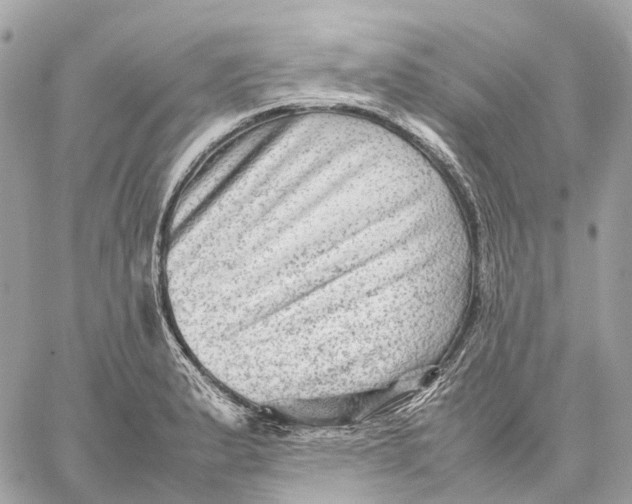 X0000059251183200511041326