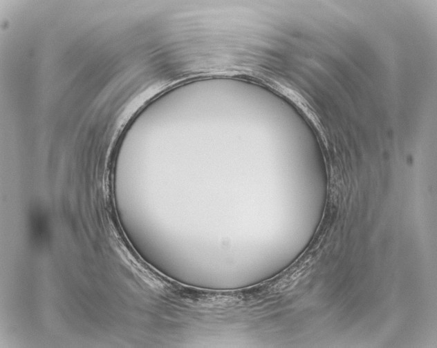 X0000059251187200511041326