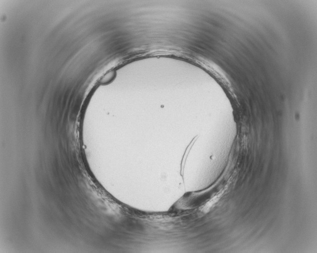 X0000059251190200511041326