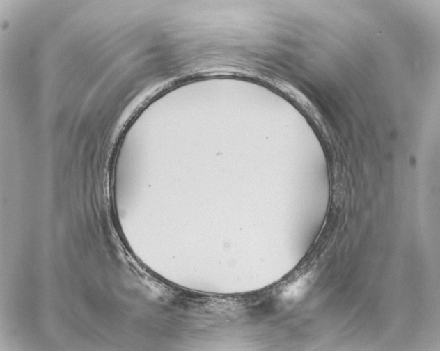 X0000059251191200511041326