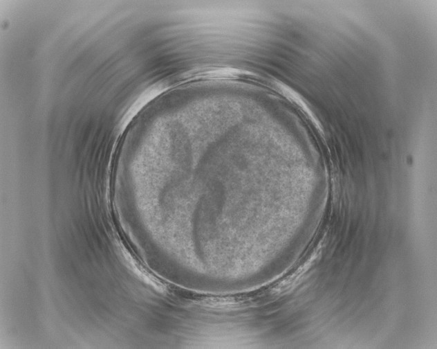 X0000059251194200511041326