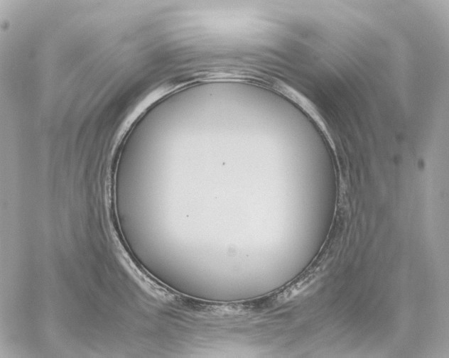 X0000059251195200511041326