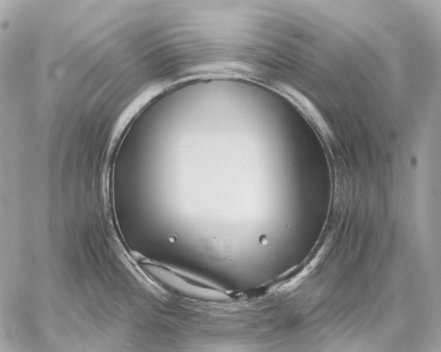 X0000059251196200511041326