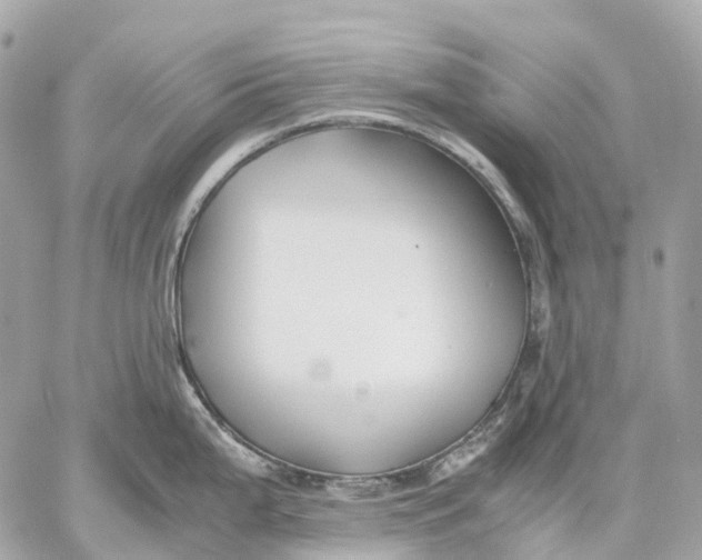 X0000059251199200511041326