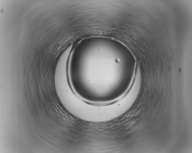 X0000059251202200511041325