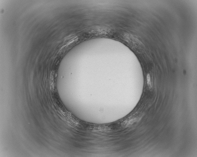 X0000059251203200511041325