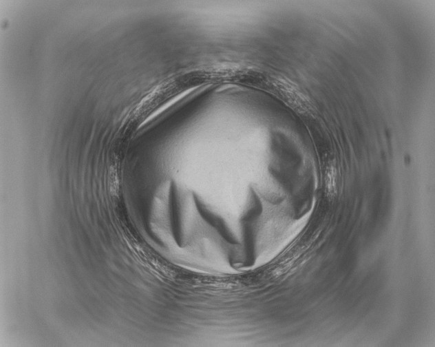 X0000059251204200511041325