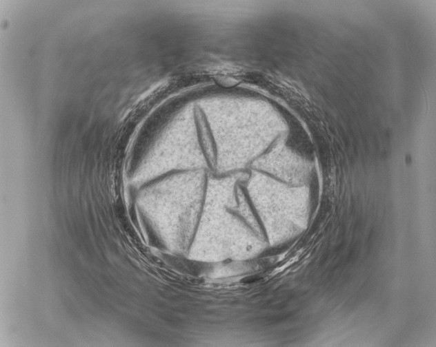 X0000059251205200511041325