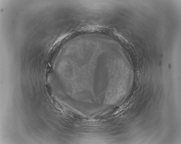 X0000059251206200511041325