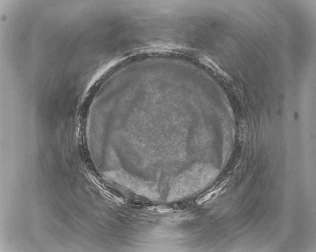 X0000059251208200511041325