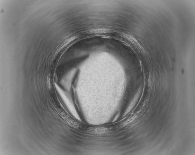 X0000059251209200511041325