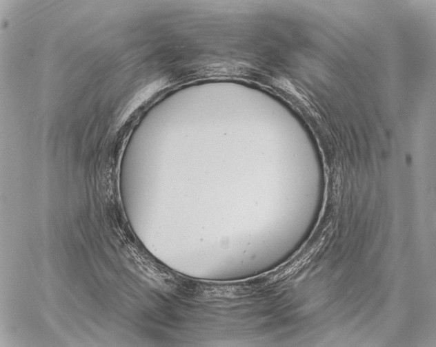 X0000059251211200511041325