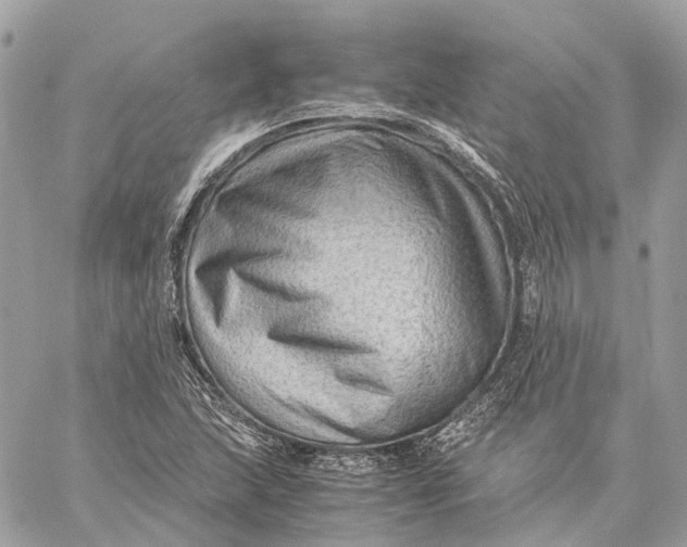 X0000059251215200511041325