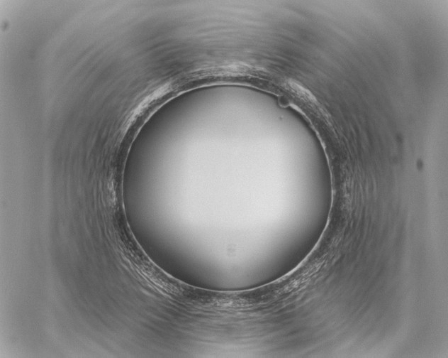 X0000059251218200511041325