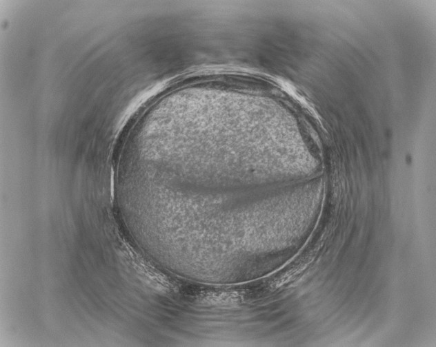 X0000059251221200511041325