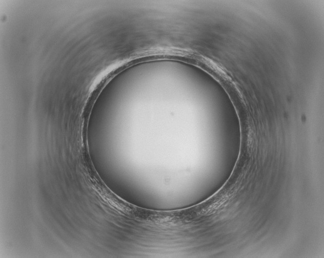 X0000059251222200511041325