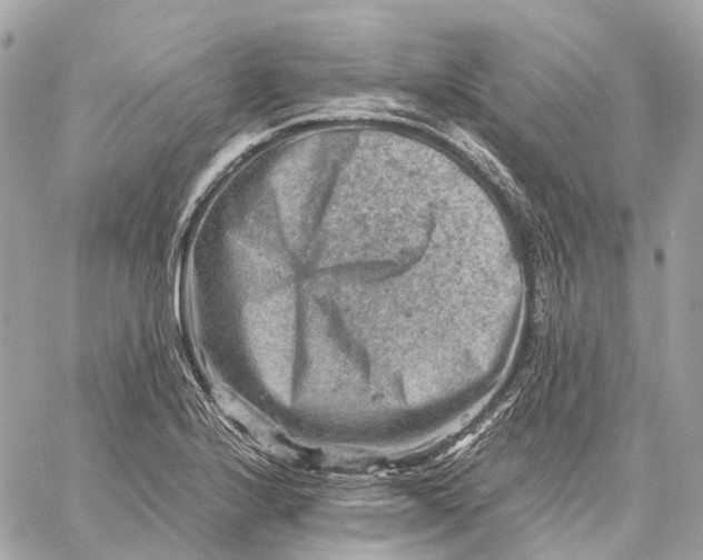 X0000059251224200511041325